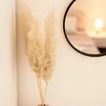 Appartement Amalie Pazin